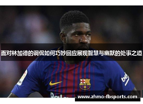 面对林加德的调侃如何巧妙回应展现智慧与幽默的处事之道