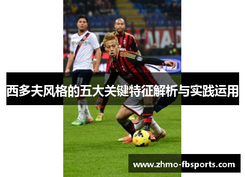 西多夫风格的五大关键特征解析与实践运用