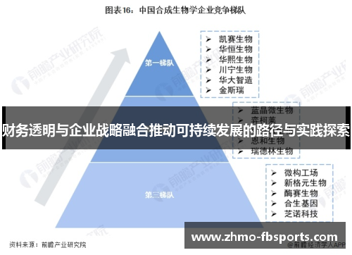 财务透明与企业战略融合推动可持续发展的路径与实践探索 财务透明与企业战略融合推动可持续发展的路径与实践探索