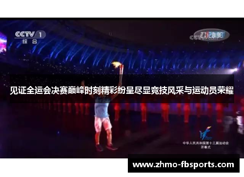 见证全运会决赛巅峰时刻精彩纷呈尽显竞技风采与运动员荣耀 见证全运会决赛巅峰时刻精彩纷呈尽显竞技风采与运动员荣耀
