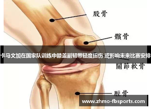 卡马文加在国家队训练中膝盖副韧带轻度扭伤 或影响未来比赛安排